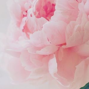 Meet your Posher, Katelyn